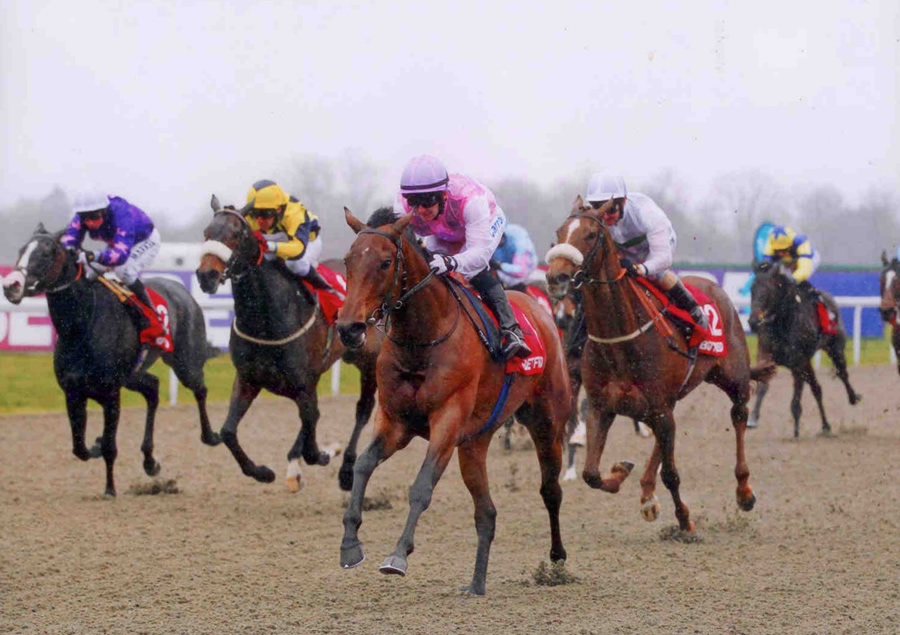 LILY'S ANGEL - Snowdrop Fillies Stks (Listed) - Kempton 13th April
